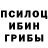 Псилоцибиновые грибы Magic Shrooms Islam Ishaev