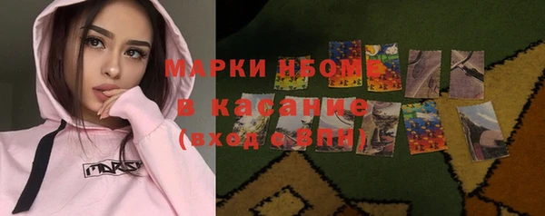 МДПВ Бородино