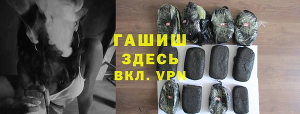 МДПВ Бородино