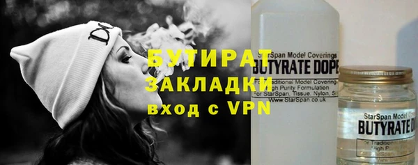 МДПВ Бородино