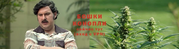 МДПВ Бородино