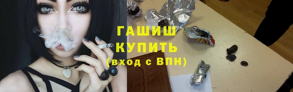 МДПВ Бородино
