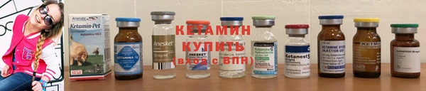 МДПВ Бородино
