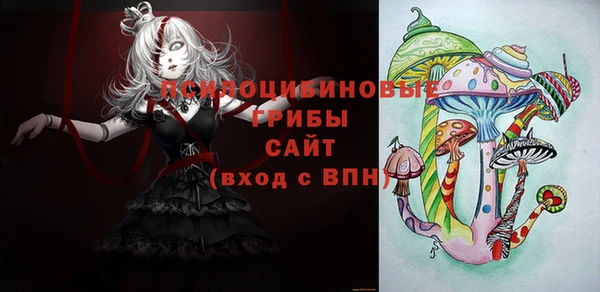 МДПВ Бородино