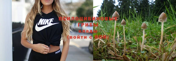 соль курить ск Бугульма